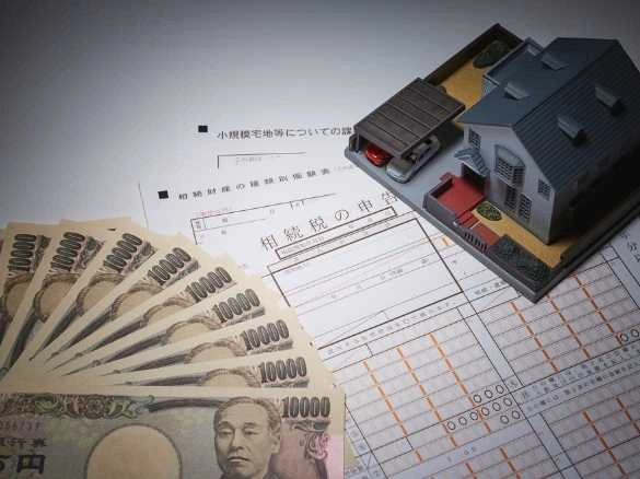 Hidalgo County tax appraisal district , HCAD, hidalgo county