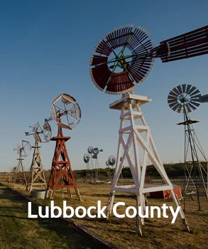 Windmills in Lubbock County, showcasing rural heritage and the county's agricultural landscape, with several traditional windmills standing in a row.